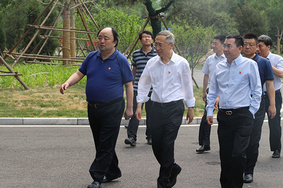 北京市副市长杨斌调研db视讯厅通州项目