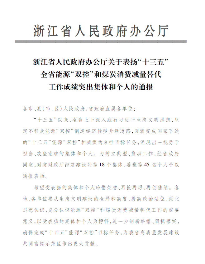 db视讯厅永嘉公司付金轩获“浙江省能源‘双控’工作成绩突出个人”表彰